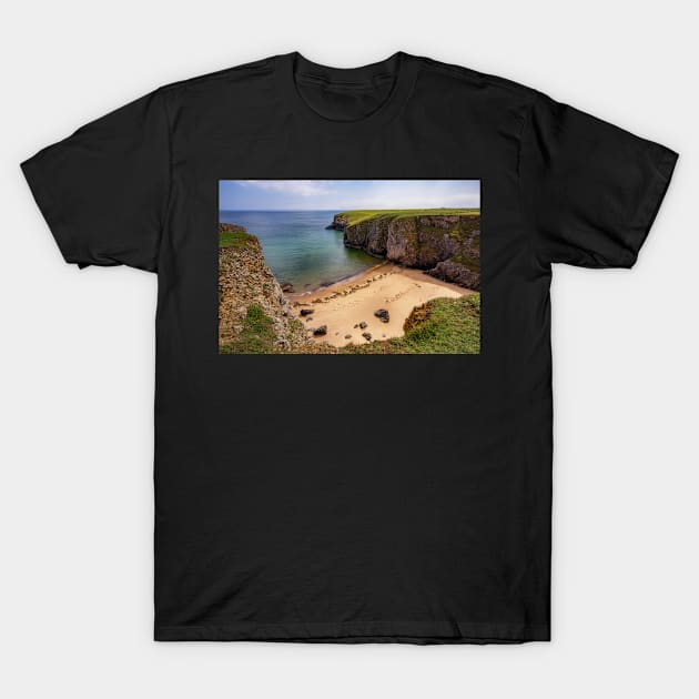 Box Bay, Pembrokeshire T-Shirt by dasantillo